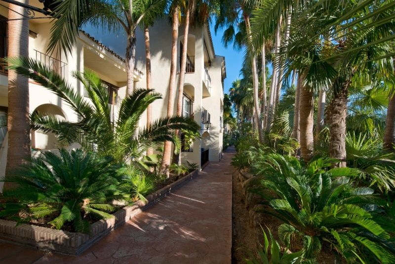 Hotel Bluebay Banus 4*